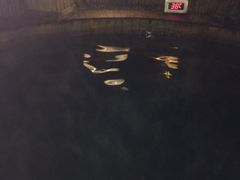 iphone_upload_pic-常州环球恐龙城维景国际大酒店