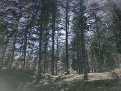 -硗碛藏寨·神木垒景区