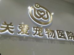 -关爱宠物医院·猫科中心·消化科(滨湖万达分院)