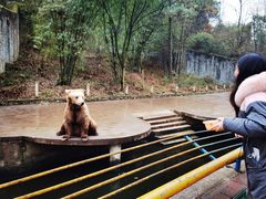 -贵州森林野生动物园