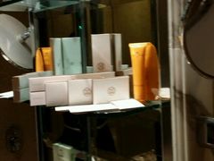 -新加坡乌节希尔顿酒店 (SG Clean)