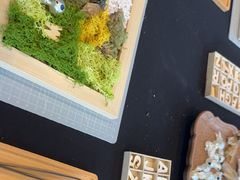 -奔驰上海利星(七宝店)