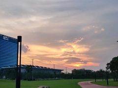 -春花秋色城市公园