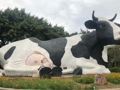 -光明农场大观园
