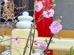 -哈尔滨极乐寺