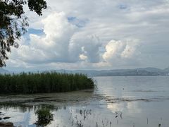-洱海月湿地公园