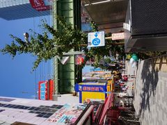 -秋叶原电器街