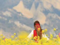 -溪口-滕头旅游景区