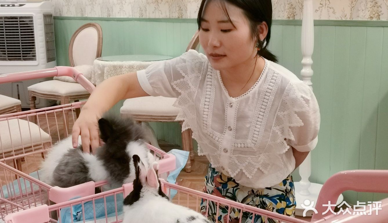 长沙萌宠集合店,一次性撸6种动物20个品种