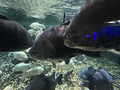 -成都浩海立方海洋公园