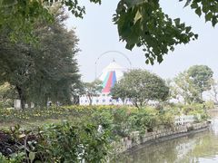 -鹅湖玫瑰文化园