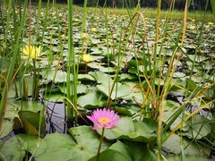 -华南国家植物园-售票处