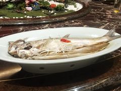 -河北宾馆中茂海悦酒店