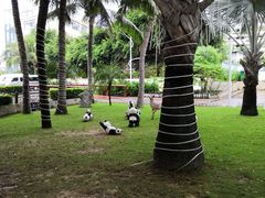 -亚龙湾亚泰商业街