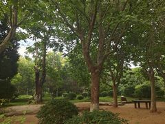 -前关湿地公园