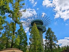 -黄海国家森林公园