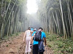 -莫干山风景区