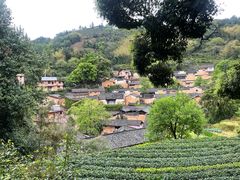 -杨家堂村