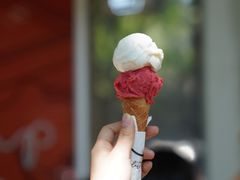 -Dip in Gelato(富民路店)