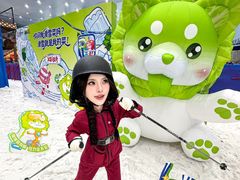 -广州热雪奇迹