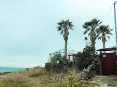-Cafe Aewol Monsant