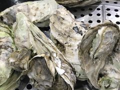 -蚝专家(北滘店)