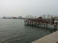 -碧海金沙