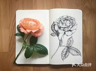 用画笔给自己做一本植物标本笔记