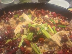 -老板恋上鱼(恒隆广场店)