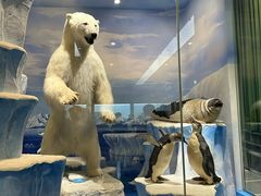 -国家自然博物馆