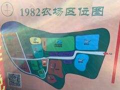 -1982农场