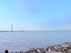 -吴淞炮台湾湿地森林公园烧烤区