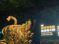 -珠海长隆海洋王国
