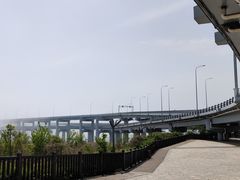 -星海湾跨海大桥
