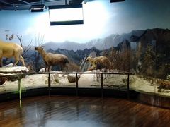 -陕西自然博物馆