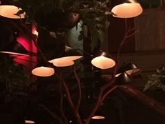 -胡桃里音乐酒馆(星湖北一里店)