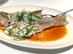 清蒸鲈鱼-茉里粤菜(皇姑万象汇店)