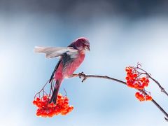 -东天目山风景区
