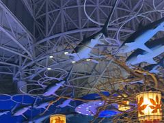 -烟台海昌鲸鲨海洋公园