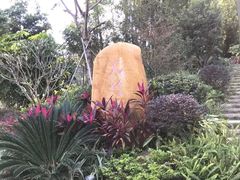 -火炉山森林公园