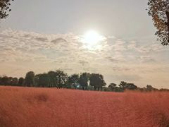 -汉长安城未央宫国家考古遗址公园