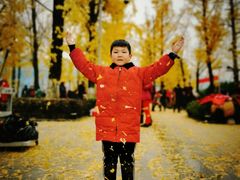 -两江幸福广场
