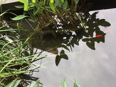 -汪玉霞(汉口里店)