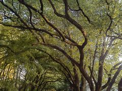 -杭州半山国家森林公园