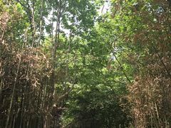 -唐城墙遗址公园