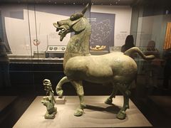 -广西壮族自治区博物馆