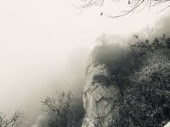 -大岭沟猕猴桃谷风景区