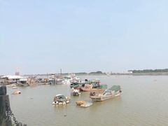 -大湾区中央湿地公园-十九涌