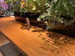 -Bco豆库(星耀天地店)