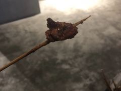 -乐彡炸串·烤苕皮(西单华威约饭街店)